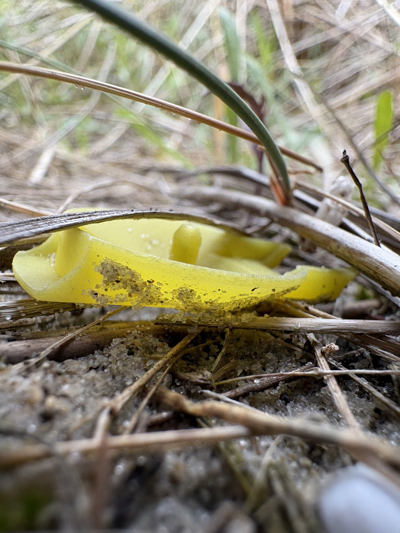 Veel kleine stukjes in alle kleuren