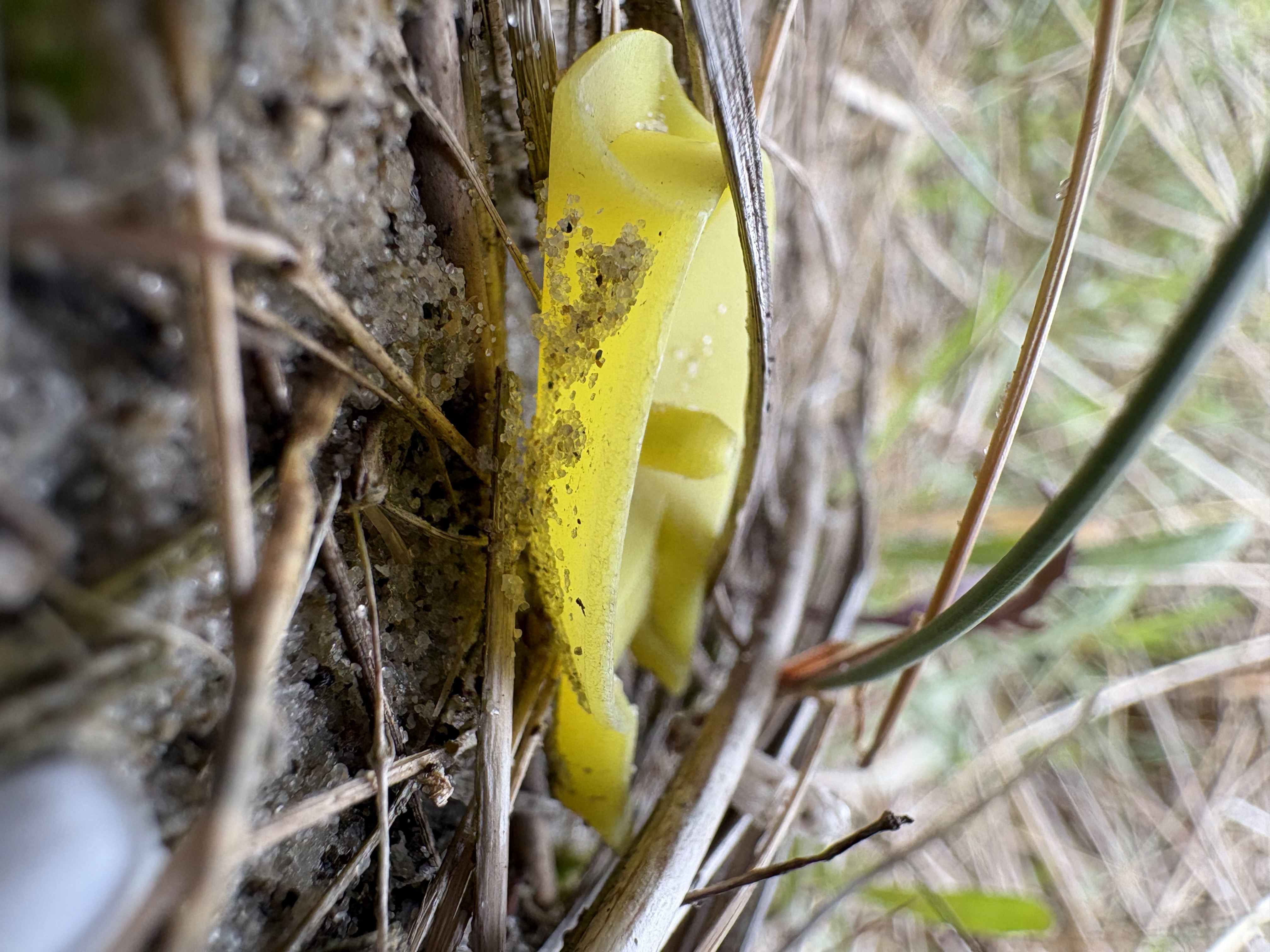 Veel kleine stukjes in alle kleuren