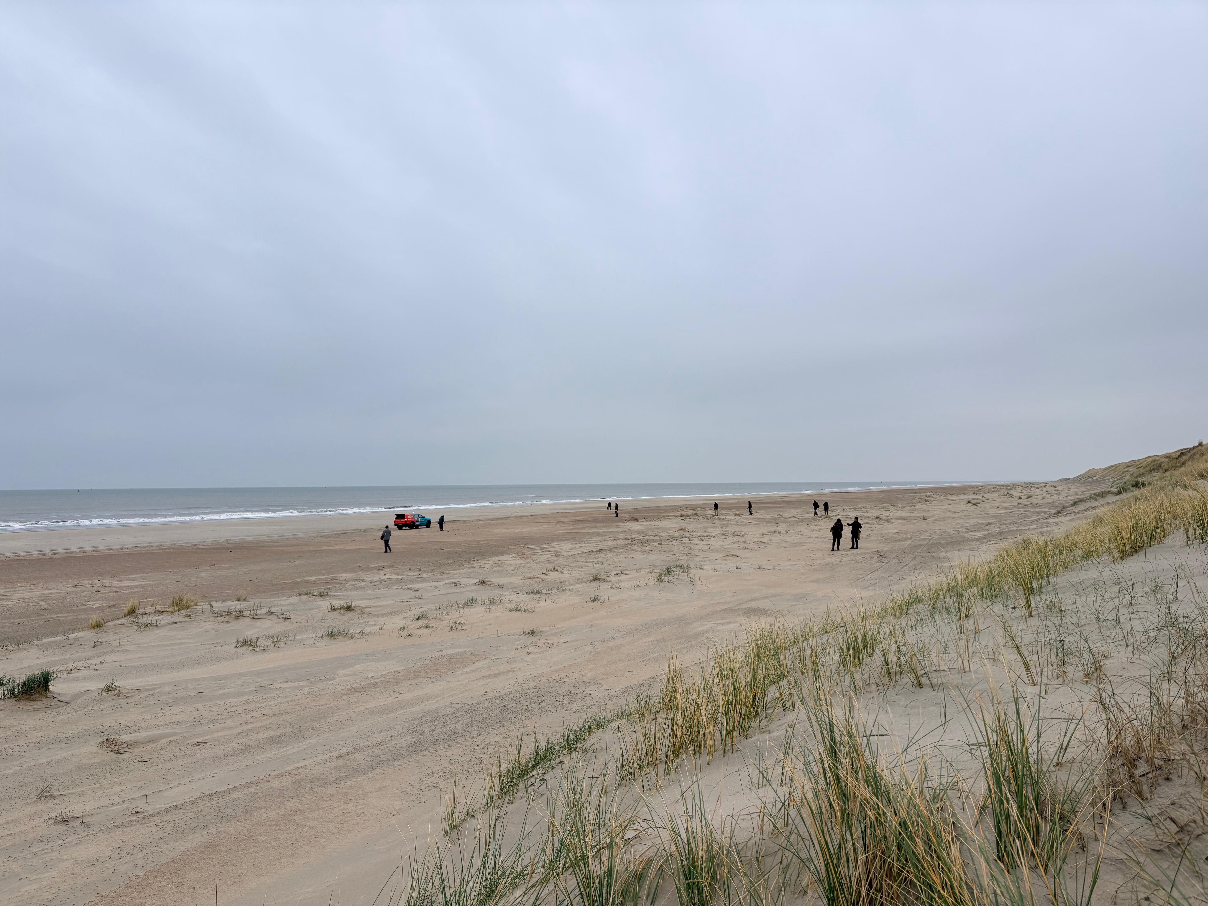 Er wordt hard gewerkt, met de zeehondenwagen op de achtergrond.